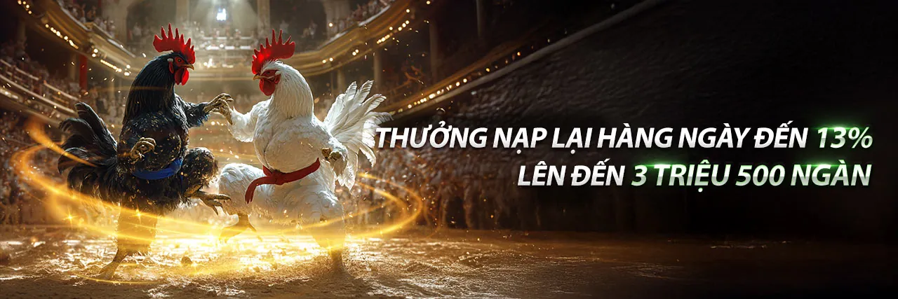 Đấu gà Thomo sôi động
